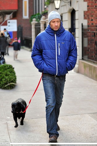 04/01/2010 walking his dog