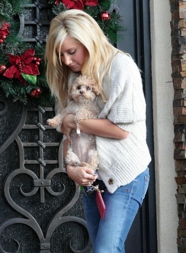 Ashley Tisdale Picking Up Her Dog From Her Parents