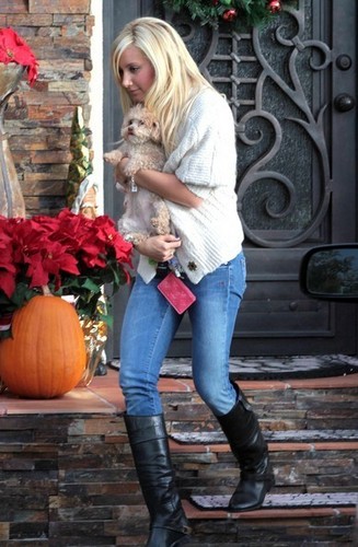  Ashley Tisdale Picking Up Her Dog From Her Parents