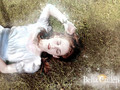 Bella Cullen - Breaking Dawn - twilight-series wallpaper