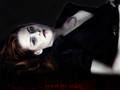 twilight-series - Bella Cullen - Breaking Dawn wallpaper
