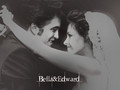 Bella & Edward Cullen - twilight-series wallpaper