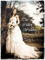 Bella Wedding ~ Breaking Dawn - twilight-series fan art