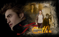 Bella and Edward - twilight-series wallpaper