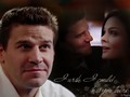 booth-and-bones - Brennan and Booth wallpaper