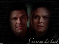 booth-and-bones - Brennan and Booth wallpaper