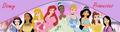 Disney Princess Banner - disney-princess fan art