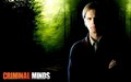criminal-minds - Dr Spencer Reid wallpaper