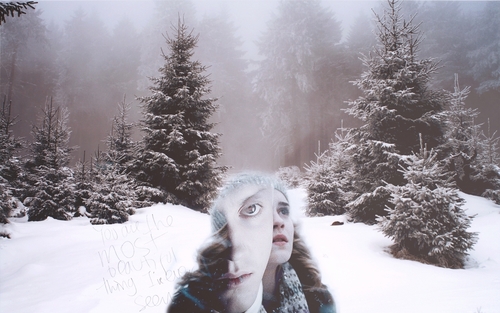  Draco & Hermione