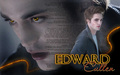 EDWARD - twilight-series wallpaper