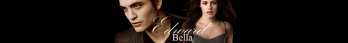  Edward + Bella Banner