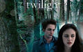 twilight-series - Edward & Bella ~ Twilight wallpaper