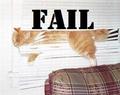 Fail Cat - random photo