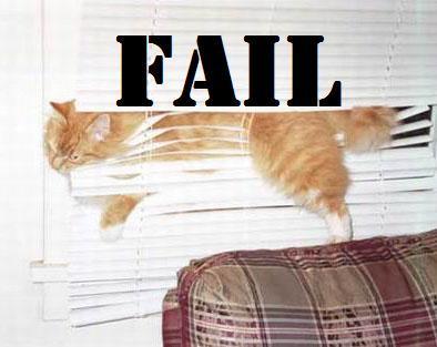  Fail Cat
