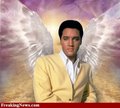 For My Dear Friend Paola ,Elvis The Angel  <3 - elvis-presley fan art