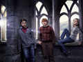 Harry Potter and The Order of Phoenix - harry-potter photo