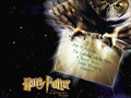 Harry Potter and the PS picture - harry-potter photo