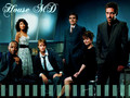 house-md - House MD  wallpaper