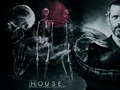house-md - House MD  wallpaper