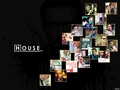 house-md - House MD wallpaper