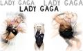 Lady GaGa wallpaper - lady-gaga photo