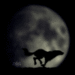 Running Wolf - wolves icon