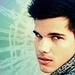Taylor Lautner <3 - taylor-jacob-fan-girls icon