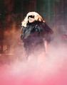 The Monster Ball Tour in Orlando, USA January 3 - lady-gaga photo