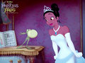 the-princess-and-the-frog - The princess and the frog  wallpaper
