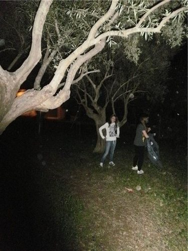 bff's next to tree's =D