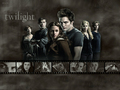 twilight - twilight-series wallpaper