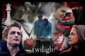 whole twilight series in one - twilight-series photo
