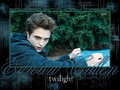 ~Edward Cullen~ - twilight-series photo