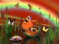 butterflies - Butterfly Lake wallpaper