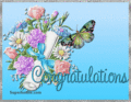 Congratulations Berni - butterflies fan art