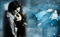 Edward & Bella -Twilight - twilight-series wallpaper