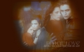 twilight-series - Edward and Bella wallpaper