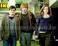 upcoming-movies - Harry Potter and the Deathly Hallows: Part I wallpaper