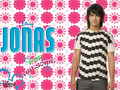 the-jonas-brothers - J.O.N.A.S wallpaper