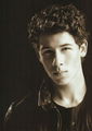 Promotionals/Tour Book - the-jonas-brothers photo