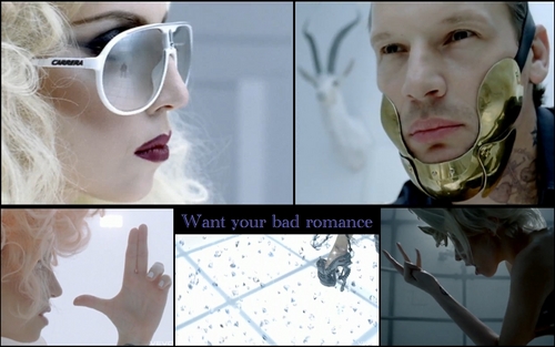 Want your bad romance