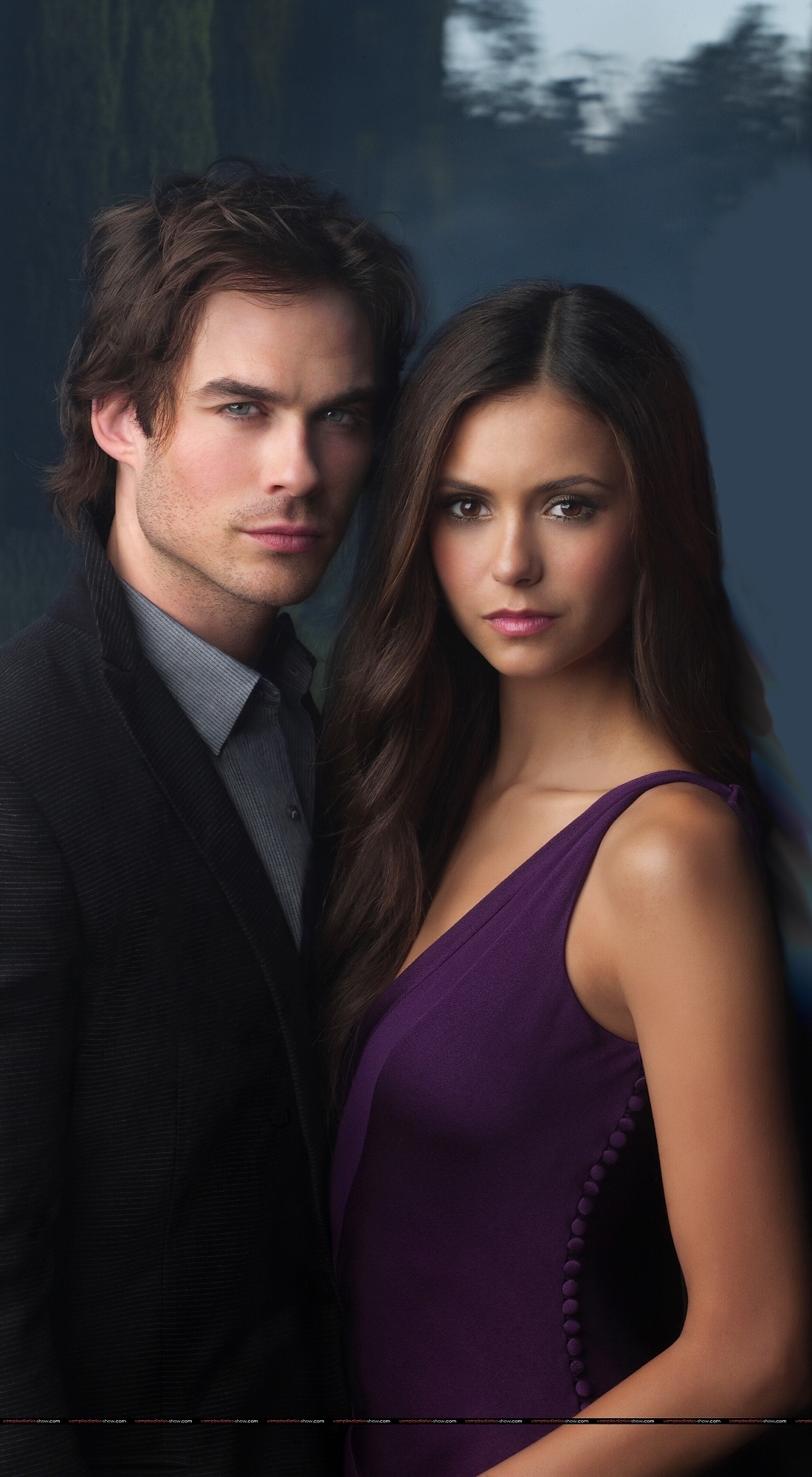 http://images2.fanpop.com/image/photos/9800000/promo-picture-damon-and-elena-9813728-1100-2000.jpg
