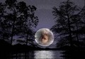 twilight moon - twilight-series photo