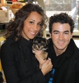  Out with new puppy from CR Puppy Love. 16.01.10  - the-jonas-brothers photo