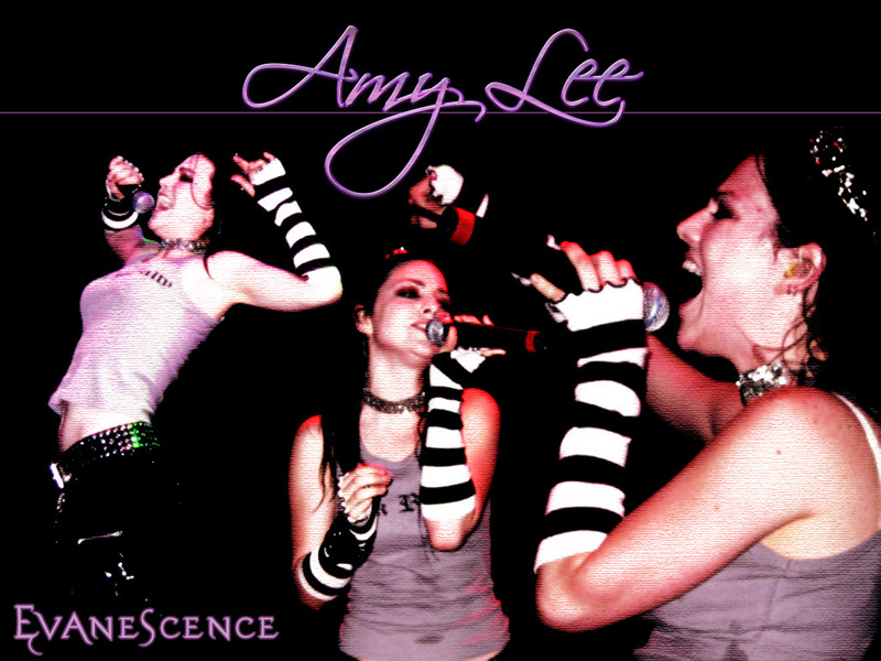 AMY LEE Evanescence Wallpaper 9932689 Fanpop