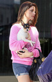 Ashley Greene is Pretty in Pink with Her Perky Pooch - twilight-series photo