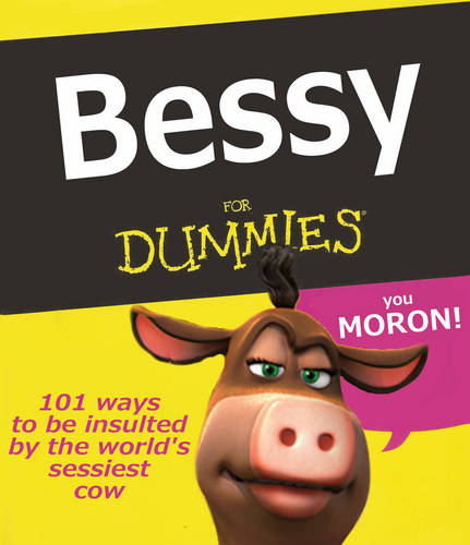  Bessy For Dummies