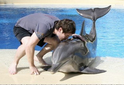David With A Dolphin