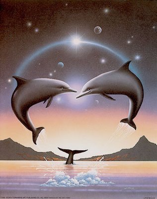  海豚 Art
