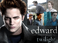 edward-cullen - Edward=* wallpaper